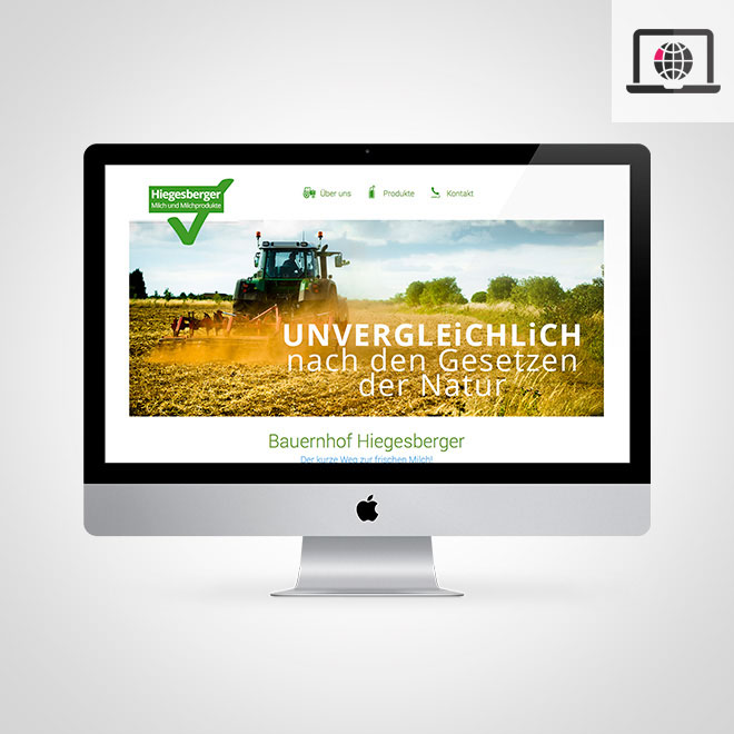 VB-Website-Hiegesberger